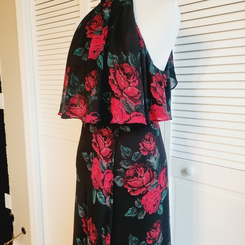 Lovers +Friends Maxi - Picture 4 of 6